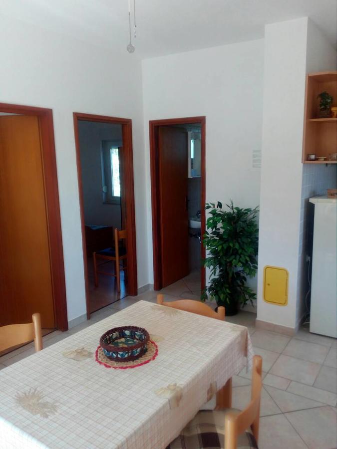 Apartments Irena Božava Extérieur photo